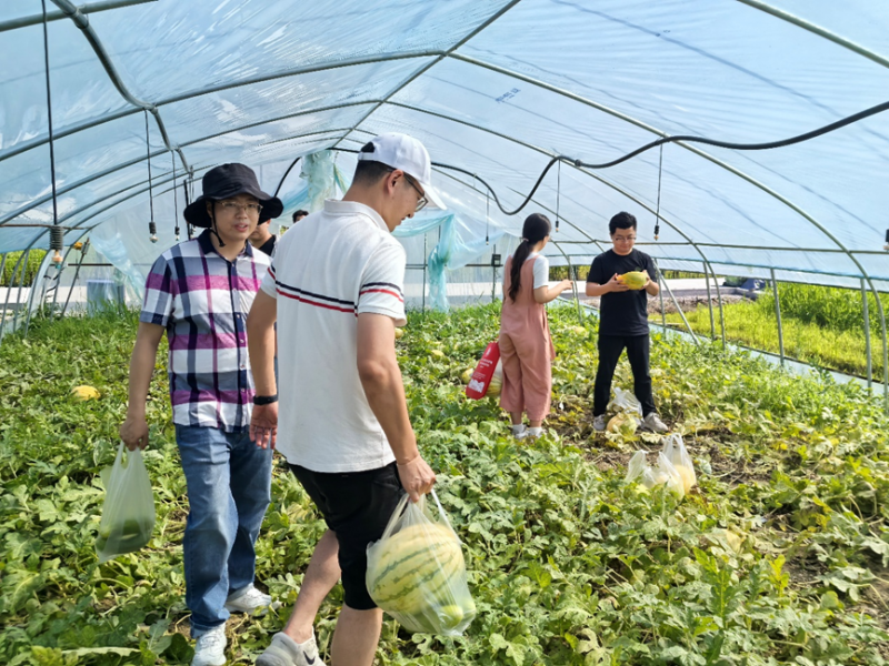 设备工程学院分工会开展“杏花春雨 采摘之乐”主题活动